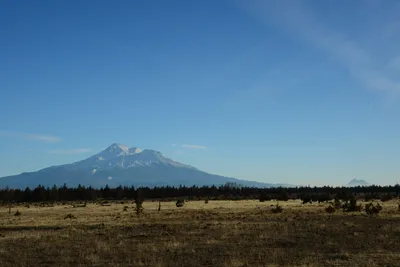 DSC_3020 (Large).JPG